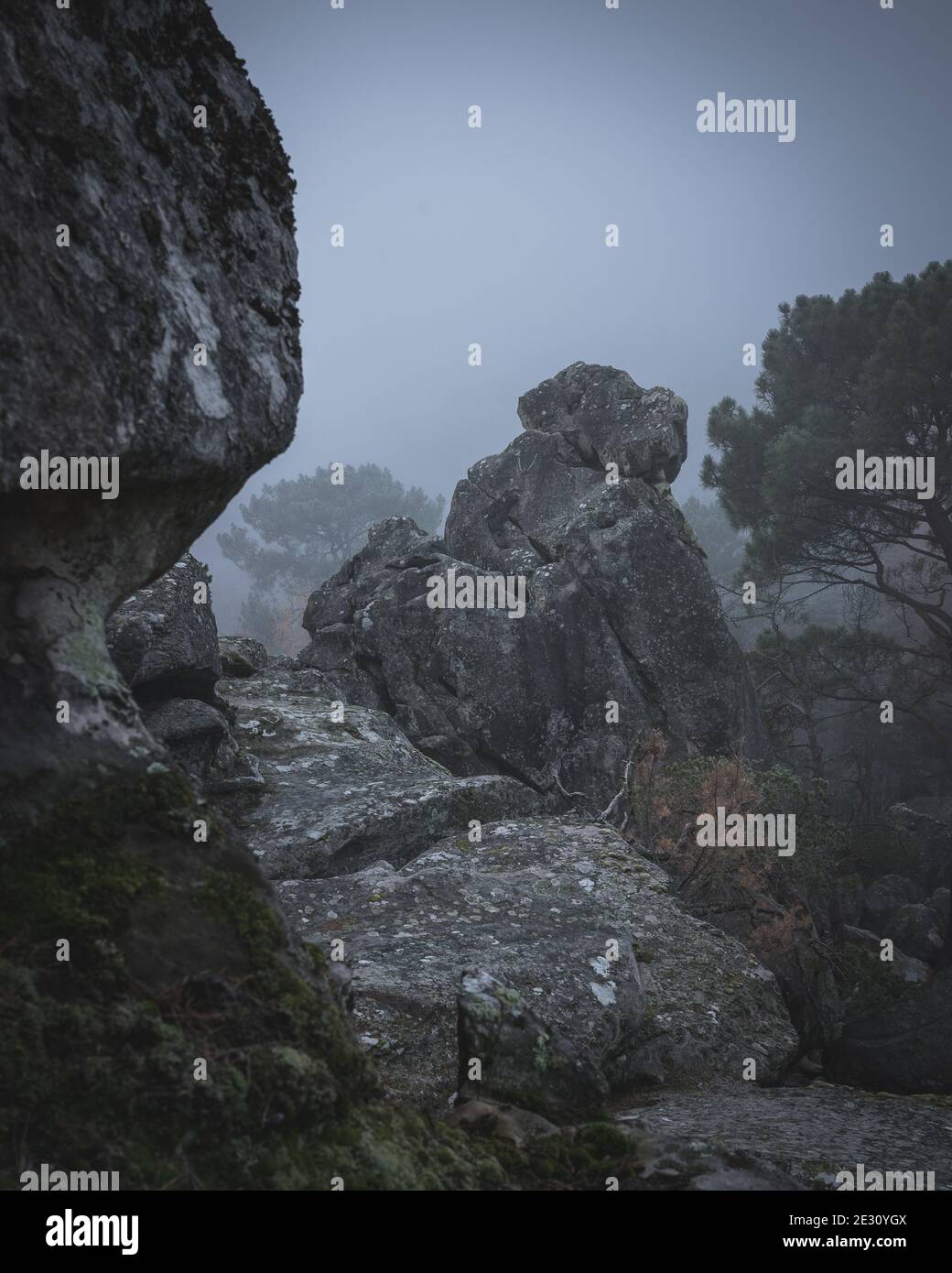 Un groupe de rochers de grès sur une crête de la forêt de Fontainebleau en France, par temps froid, sombre et gris Banque D'Images