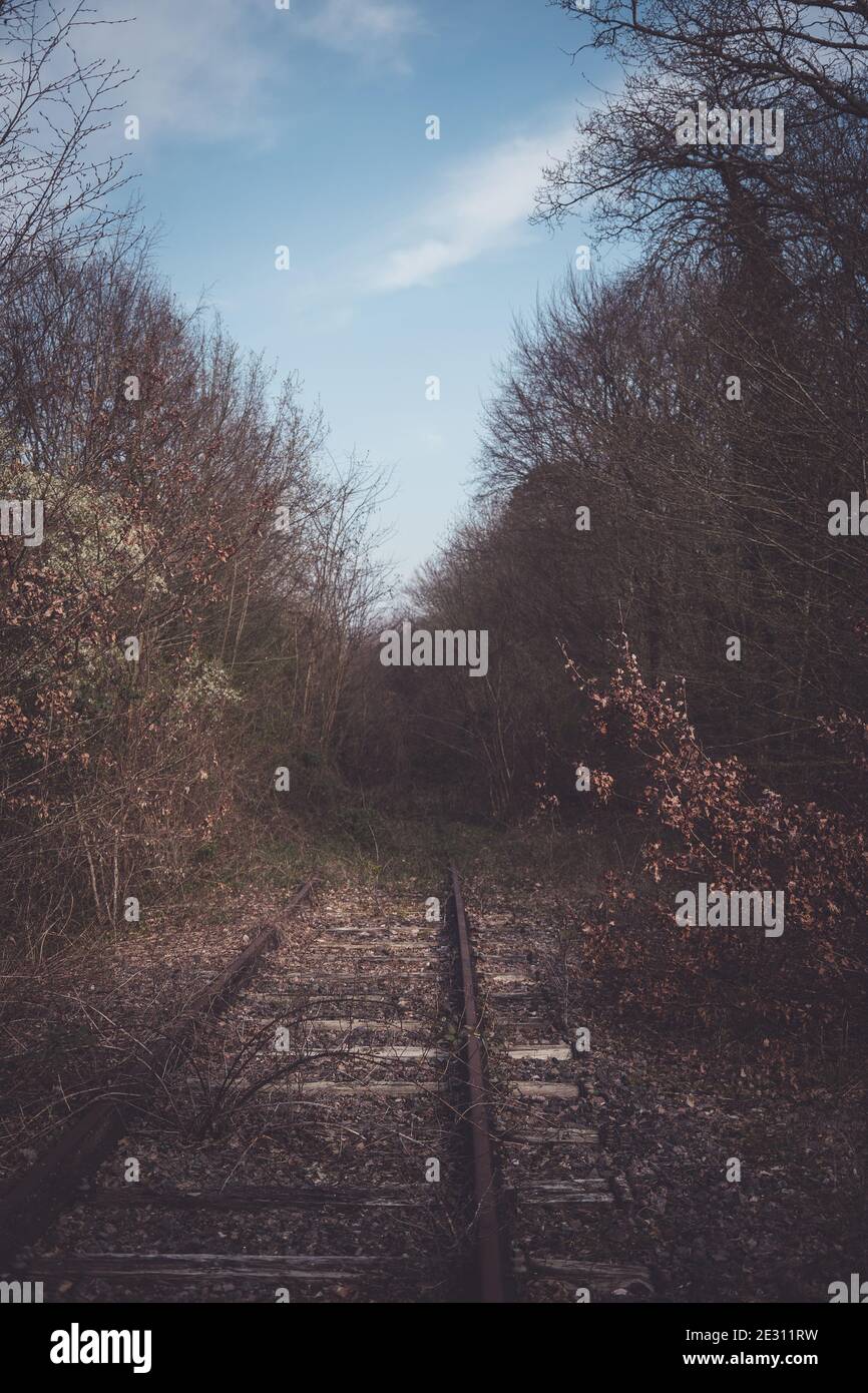 Les voies d'une ligne de chemin de fer abandonnée qui traverse La forêt de Fontainebleau en France Banque D'Images