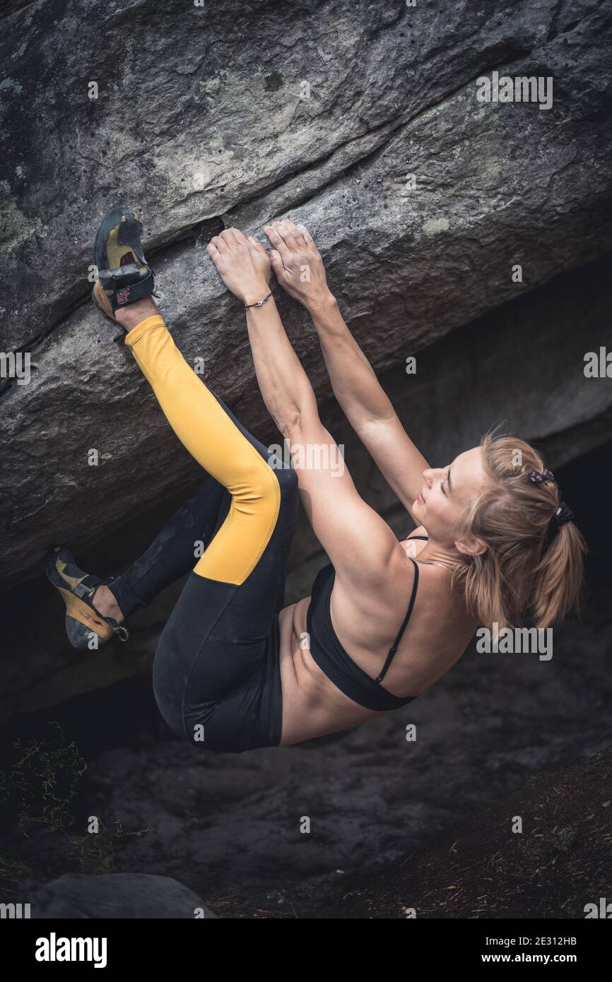 Une femme grimpeur en pierre portant des jambières noires et jaunes sur un surplomb d'un rocher de grès dans la forêt de Fontainebleau, en France Banque D'Images