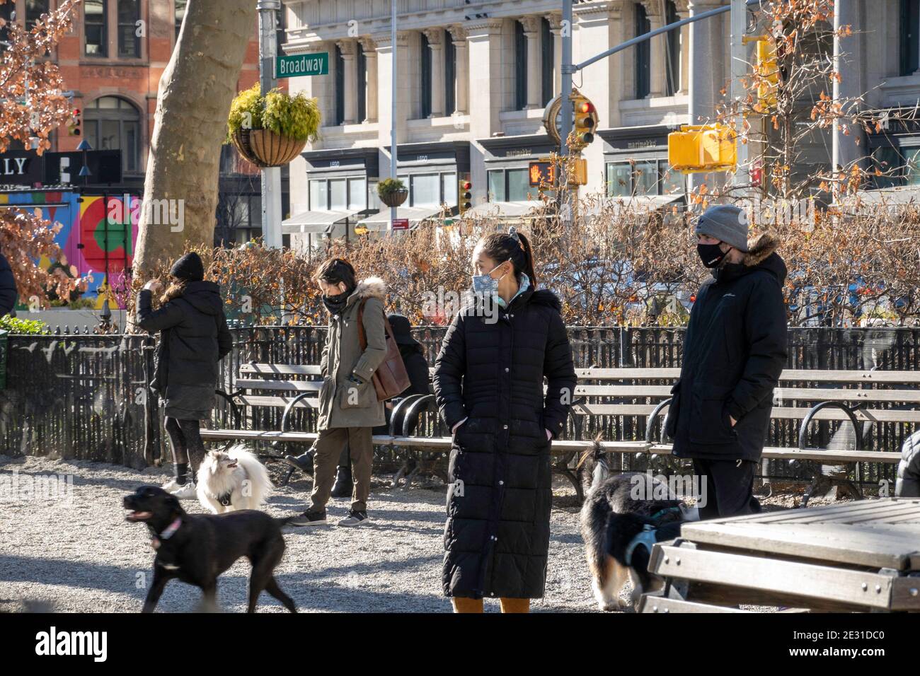 Le parc pour chiens de Madison Square Park est animé dans un après-midi  d'hiver de Suinny New York City, USA Photo Stock - Alamy