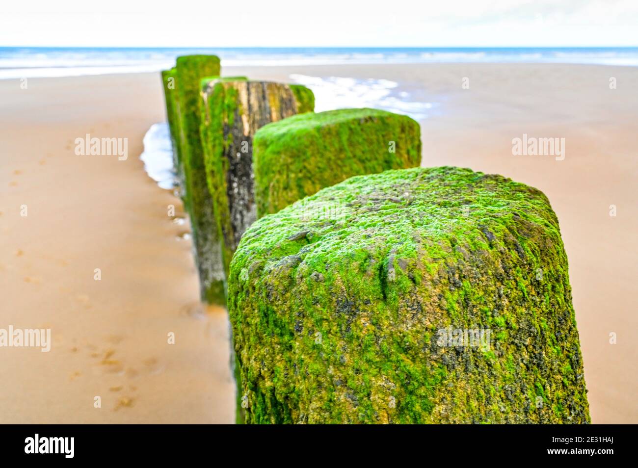 AM Strand von Calais schützen langen Reihen an Buhnen die Küste. Banque D'Images
