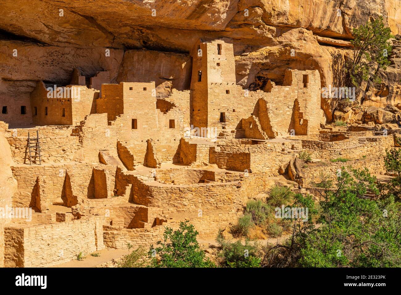 Cliff Palace de la civilisation Puebloan, parc national de Mesa Verde, Colorado, États-Unis d'Amérique. Banque D'Images