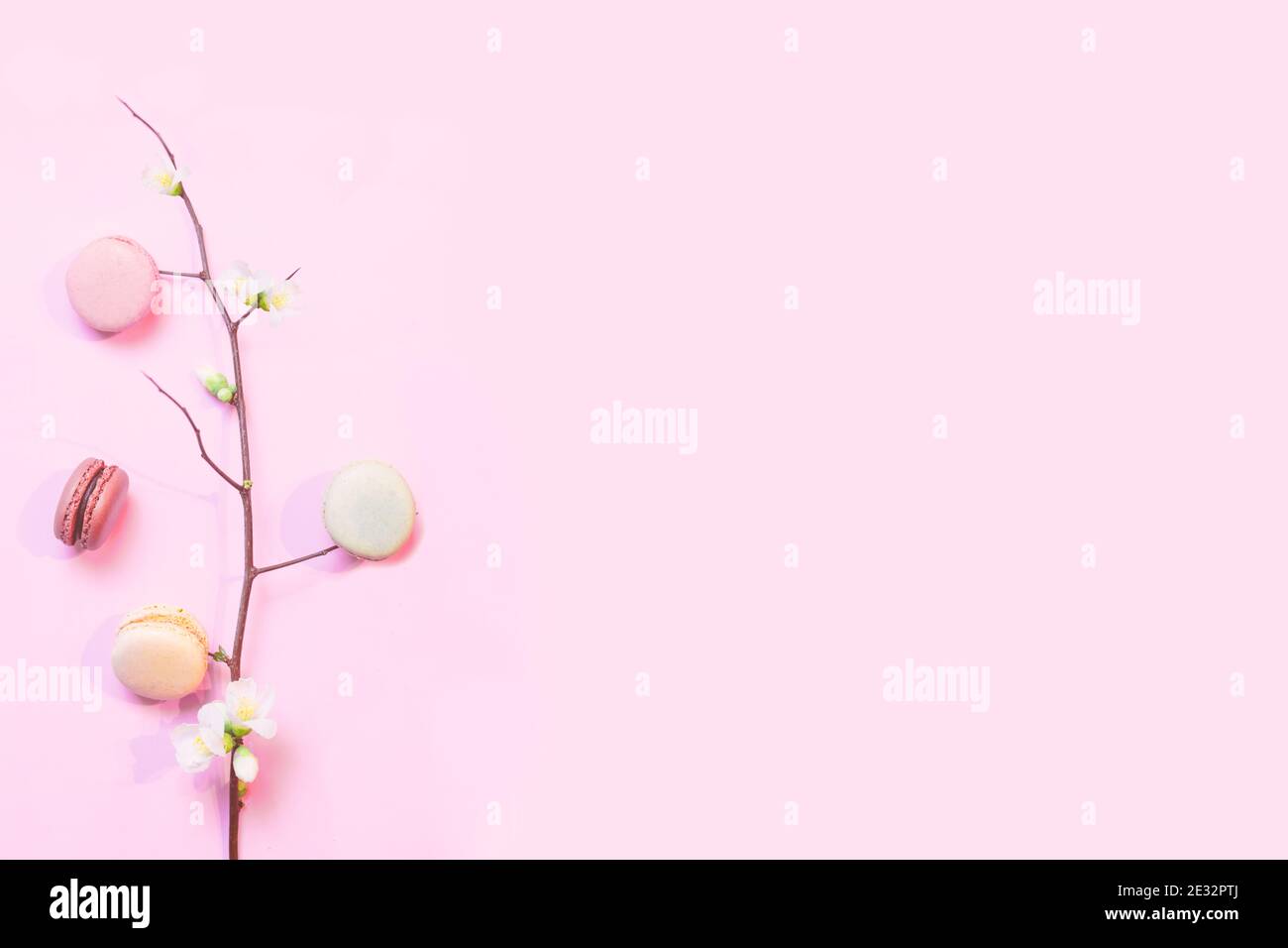 Macarons français sur fond rose pastel avec une branche de une fleur de pomme de printemps Banque D'Images