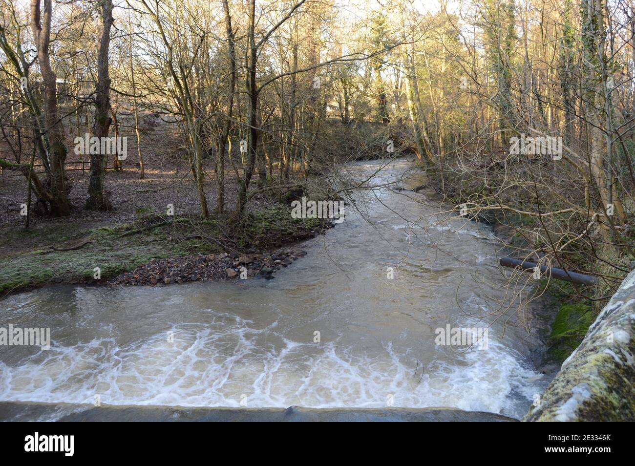 Cours d'eau à Dura Den lors d'une promenade dans les bois en hiver en janvier 2021 Banque D'Images