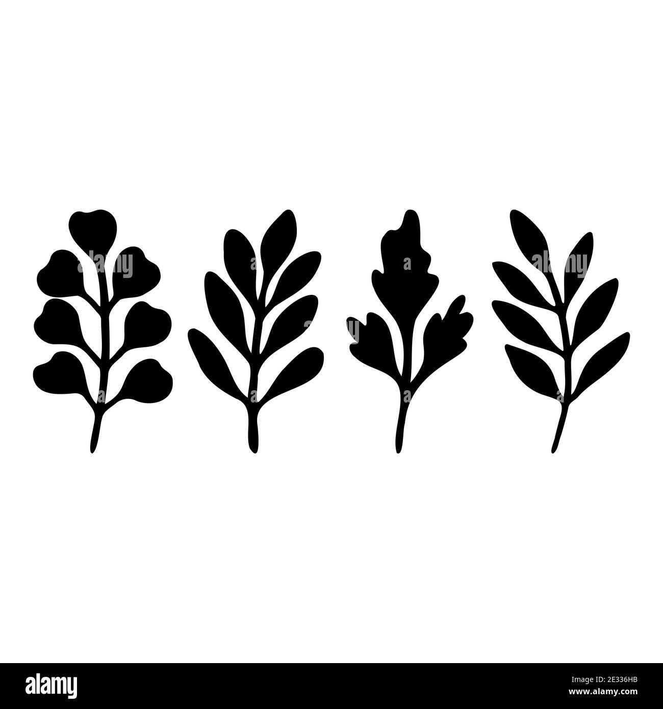 Feuilles noires sur les branches. Feuilles dessinées à la main isolées sur fond blanc. Silhouettes de feuilles de plantes. Illustration vectorielle plate. . Illustration vectorielle Illustration de Vecteur