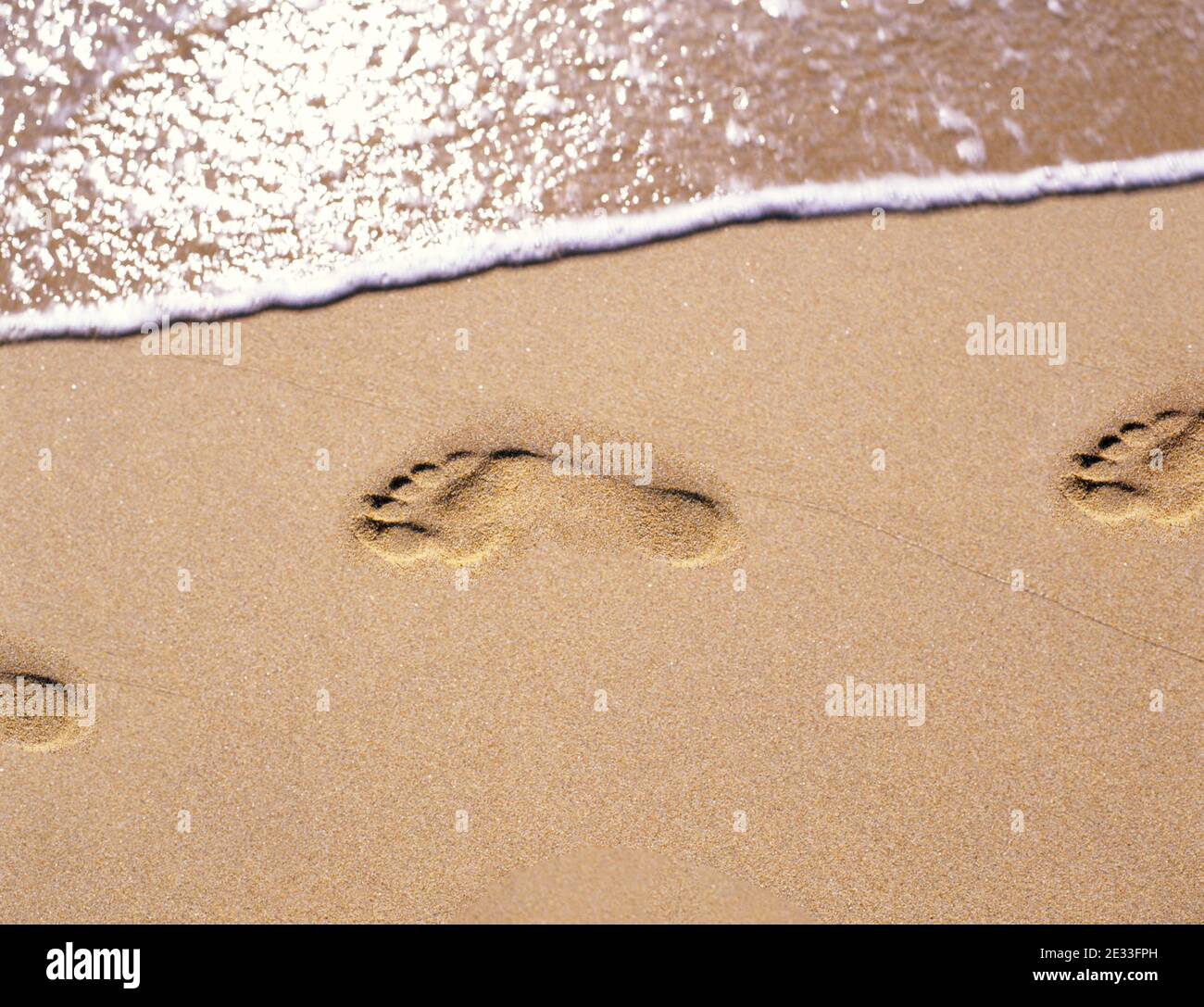 Des traces de pas dans le sable, Warwick Long Bay, Warwick, Bermudes Banque D'Images