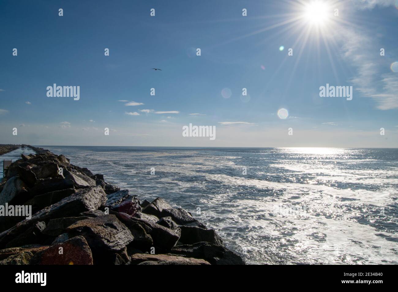 Soleil éblouissant au bord de l'océan, volant de mouettes Banque D'Images