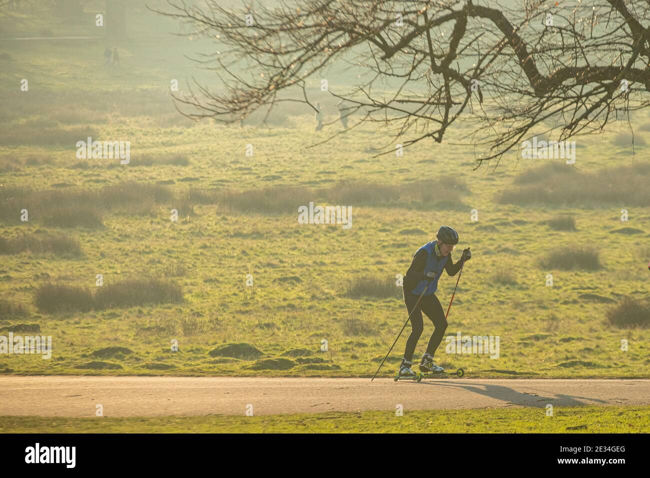 Un homme pratique le ski de fond à Richmond Park dans Londres pendant le confinement du coronavirus COVID 19 en 2021 Banque D'Images