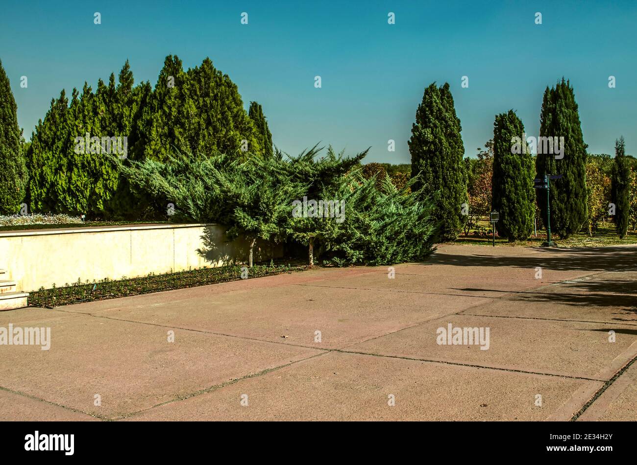 Cyprès et conifères à faible propagation à l'intersection de Ruelles dans le jardin botanique d'une banlieue de Téhéran un jour ensoleillé en automne Banque D'Images