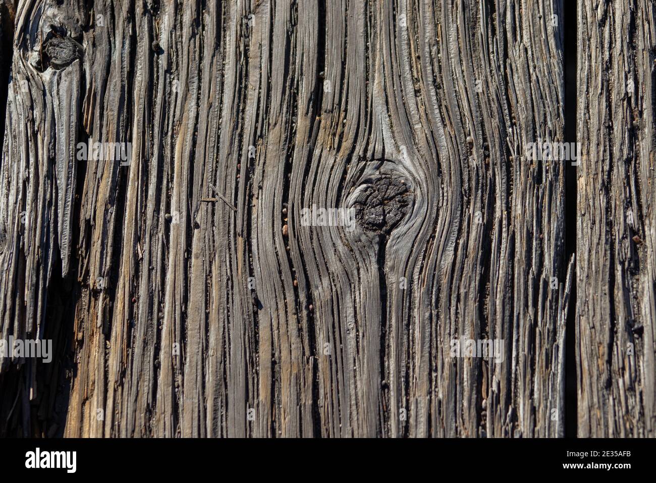Arrière-plan en bois grain gros plan sur les planches de pont . Photo de haute qualité Banque D'Images
