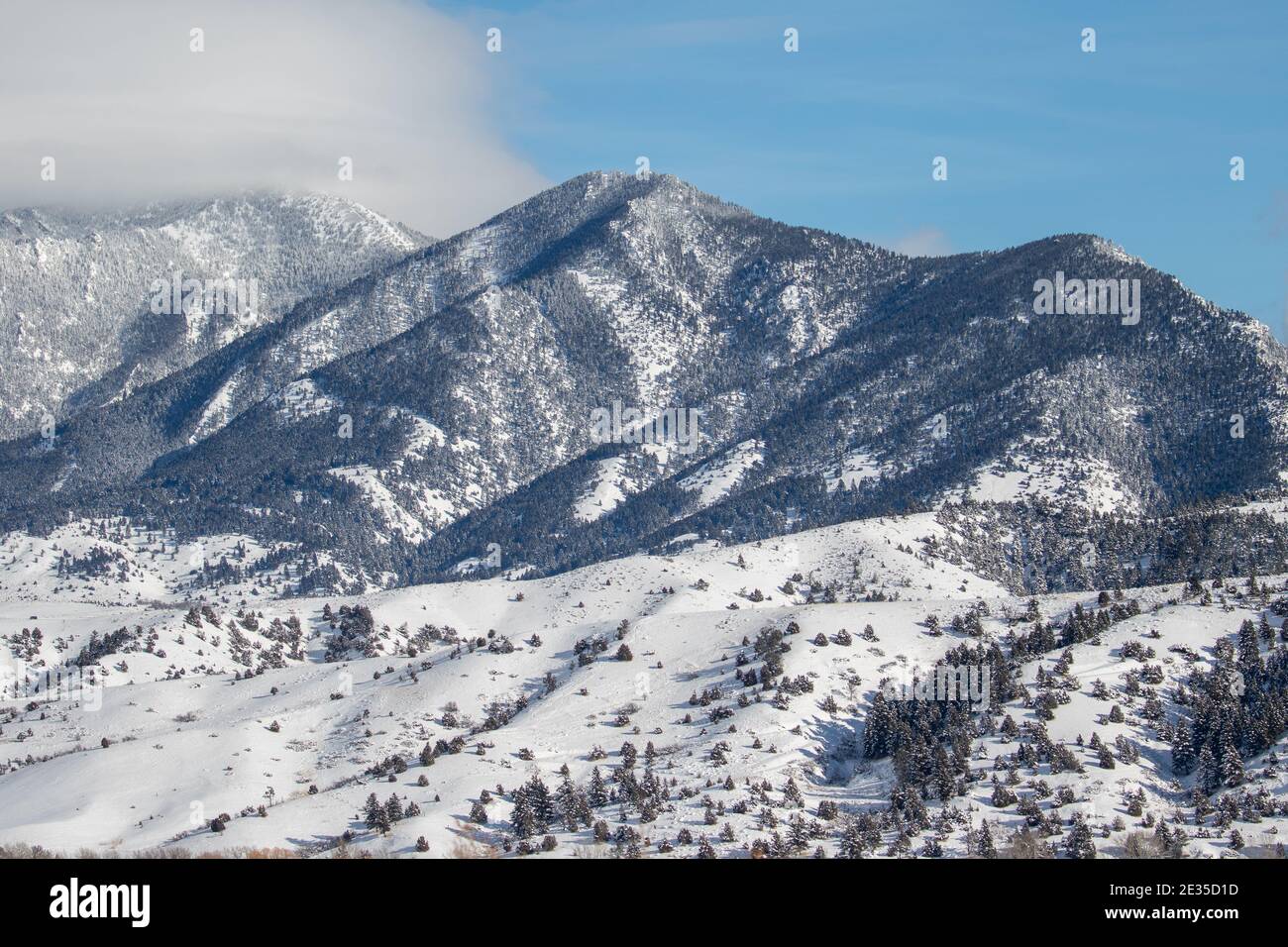 Montagnes Bozeman Montana Banque D'Images