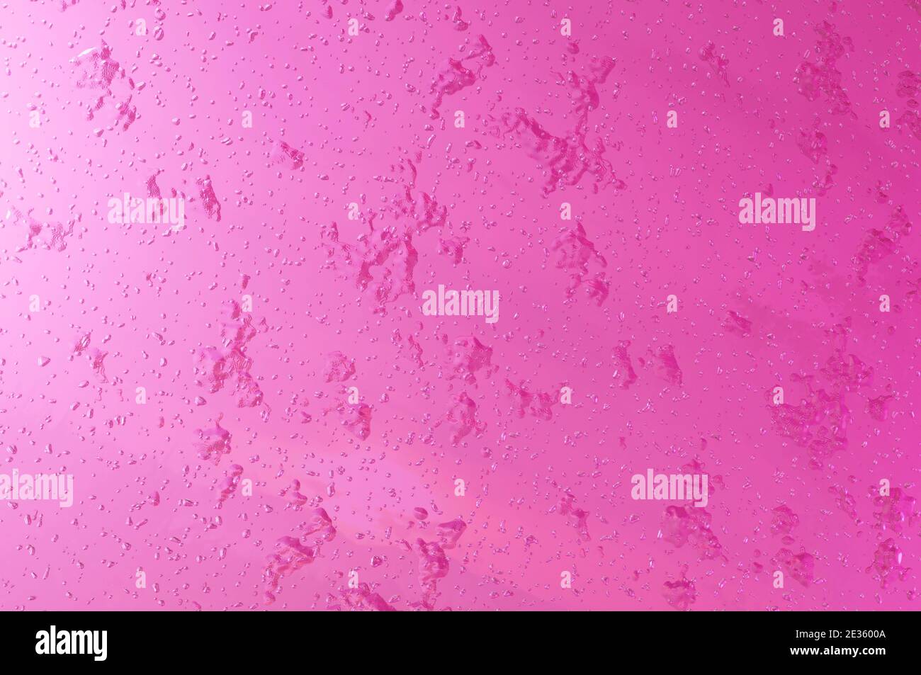 Image 3D , gouttes d'eau sur fond rose. Concept Saint Valentin, mariage Banque D'Images