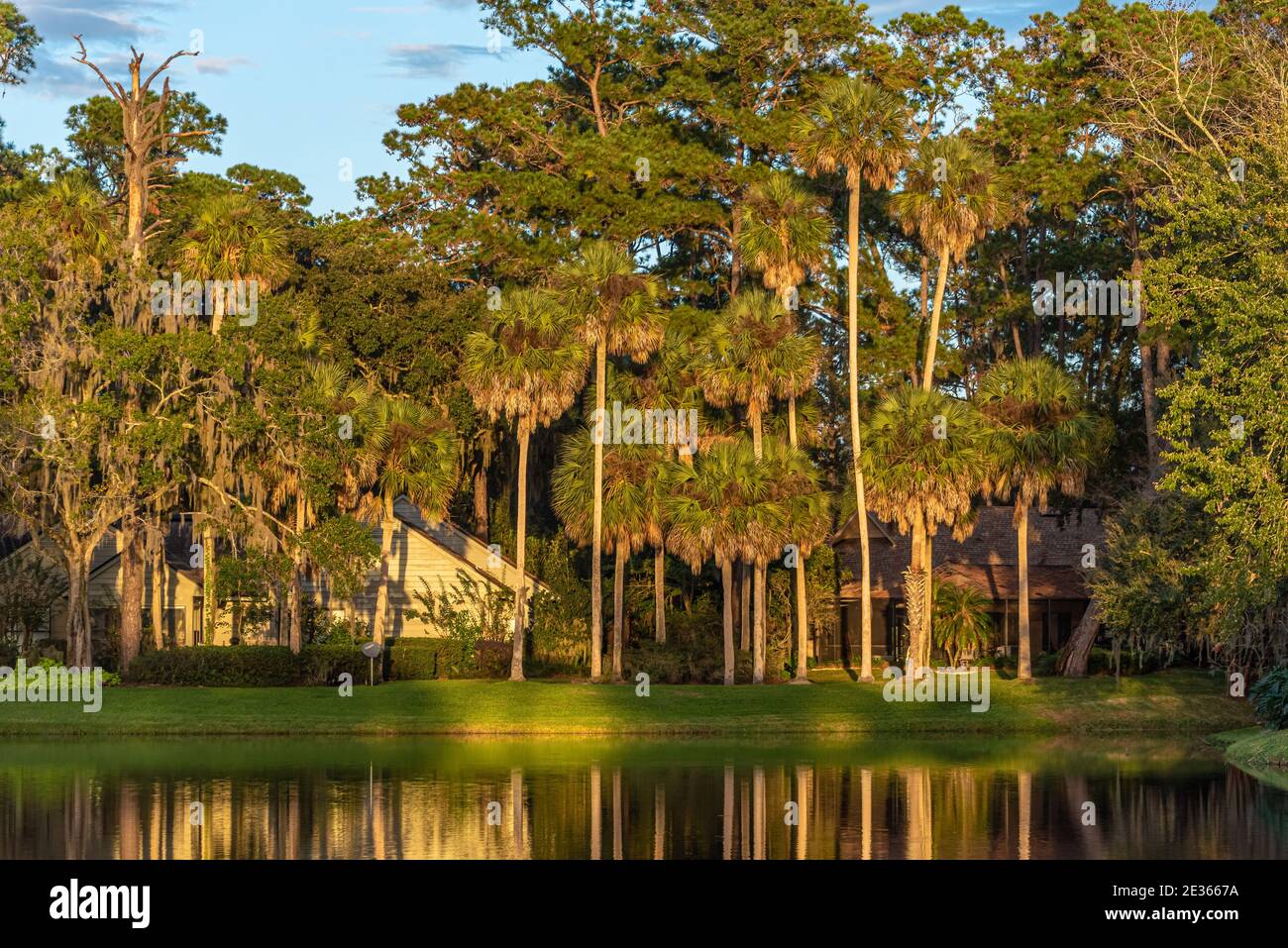 Palmiers éclairés au soleil et maisons en bord de mer sur un lac au Sawgrass Players Club, une communauté de golf fermée à Ponte Vedra Beach, Floride. (ÉTATS-UNIS) Banque D'Images