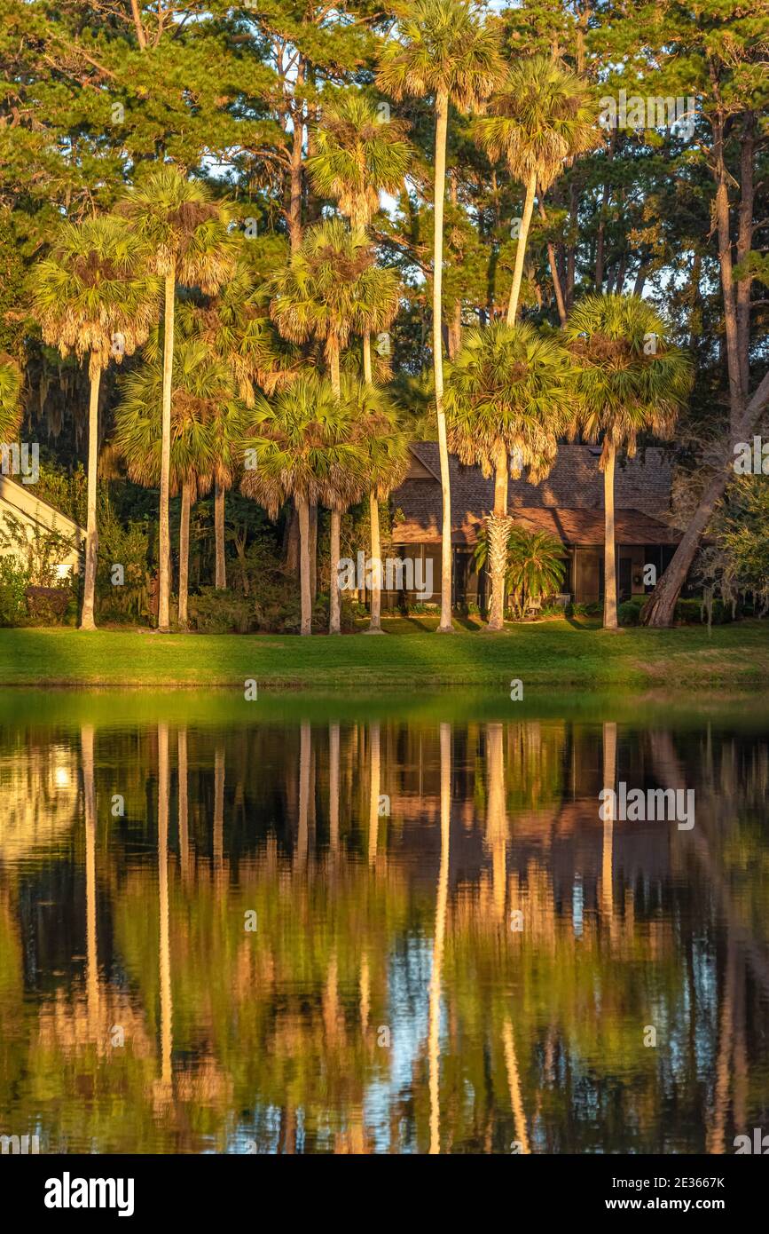 Palmiers éclairés au soleil et maisons en bord de mer sur un lac au Sawgrass Players Club, une communauté de golf fermée à Ponte Vedra Beach, Floride. (ÉTATS-UNIS) Banque D'Images