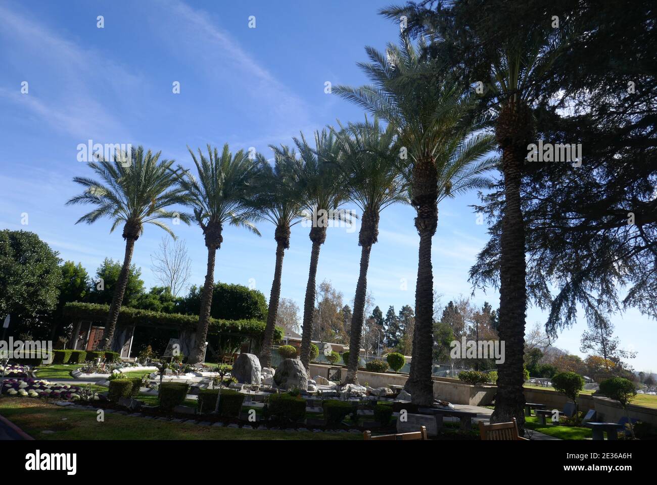 North Hollywood, Californie, États-Unis 15 janvier 2021 UNE vue générale de l'atmosphère du Cenotaph et du Mémorial de Jon-Erik Hexum le 15 janvier 2021 au Valhalla Memorial Park à North Hollywood, Californie, États-Unis. Photo par Barry King/Alay stock photo Banque D'Images