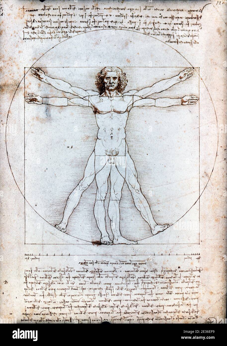 Vitruvian Man „l'uomo vitruviano“ de Leonardo Da Vinci Banque D'Images