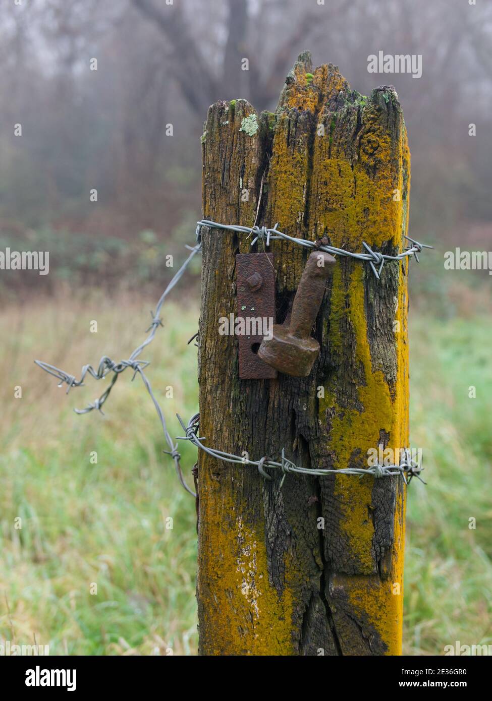 Image portrait d'un ancien montant de porte abîmé dans un champ avec espace de copie Banque D'Images