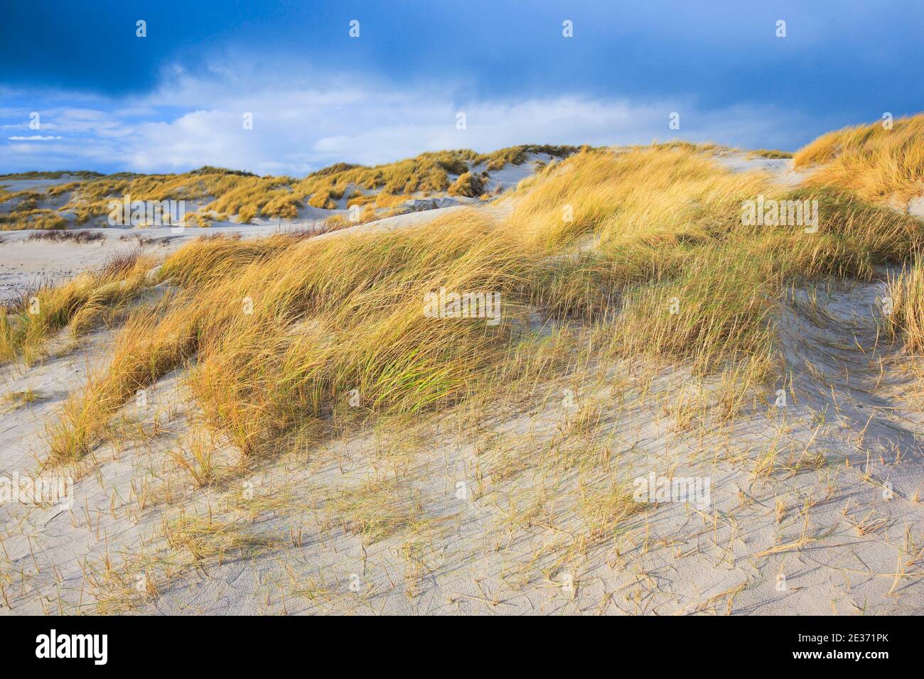 Dune de sable île dune, Helgoland, Allemagne Banque D'Images