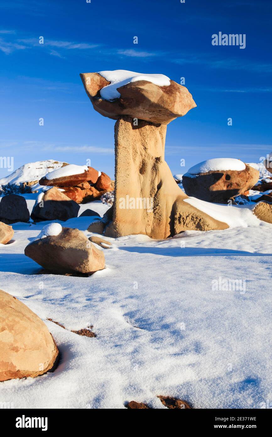 Bisti Badlands, monolithe et colonne rocheuse formée d'argile et de grès, en hiver, Bisti Wilderness, Nouveau-Mexique, États-Unis Banque D'Images