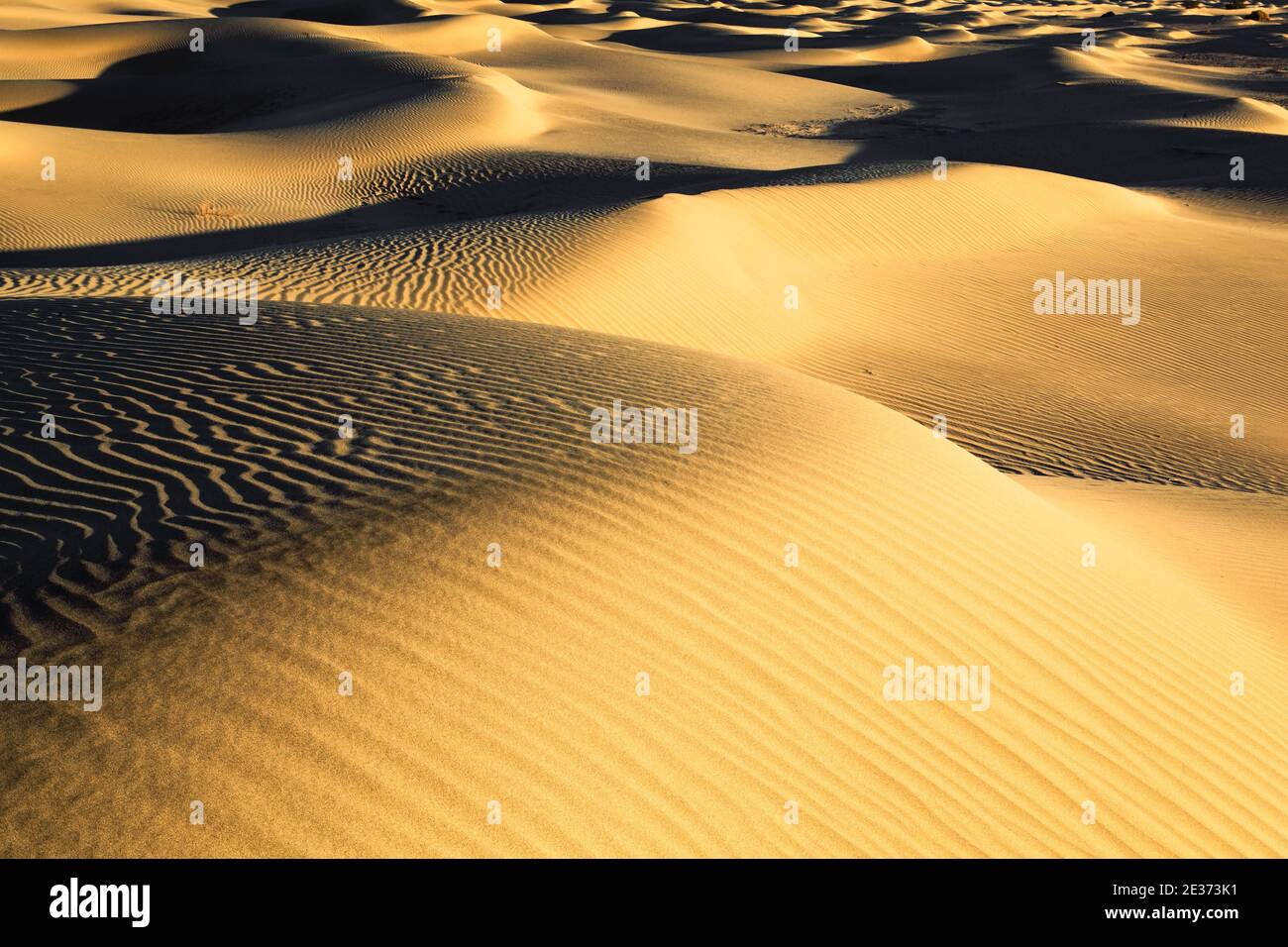 Dunes de sable de Mesquite Flats, dunes de sable, parc national de la Vallée de la mort, Californie, États-Unis Banque D'Images