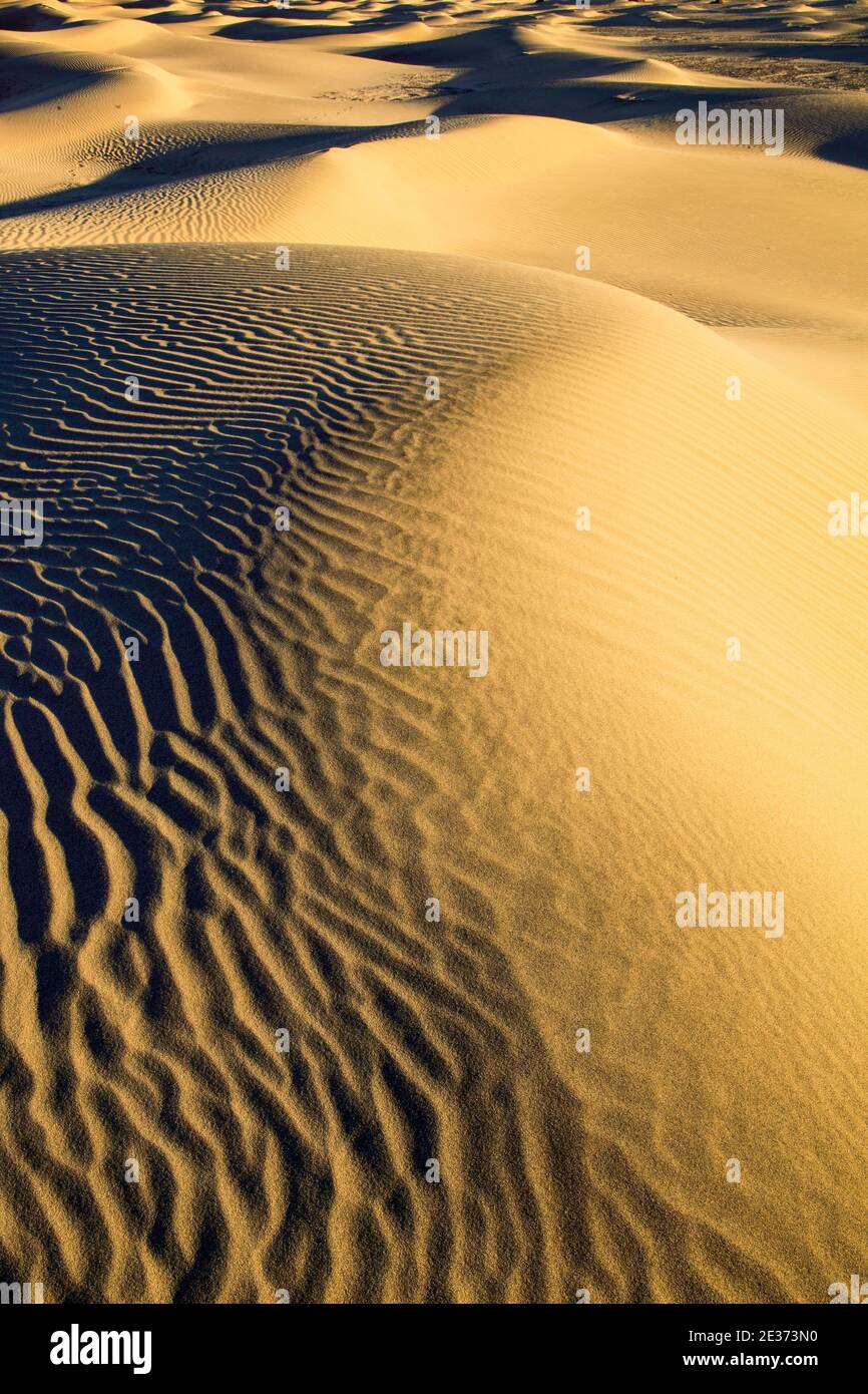 Dunes de sable de Mesquite Flats, dunes de sable, parc national de la Vallée de la mort, Californie, États-Unis Banque D'Images