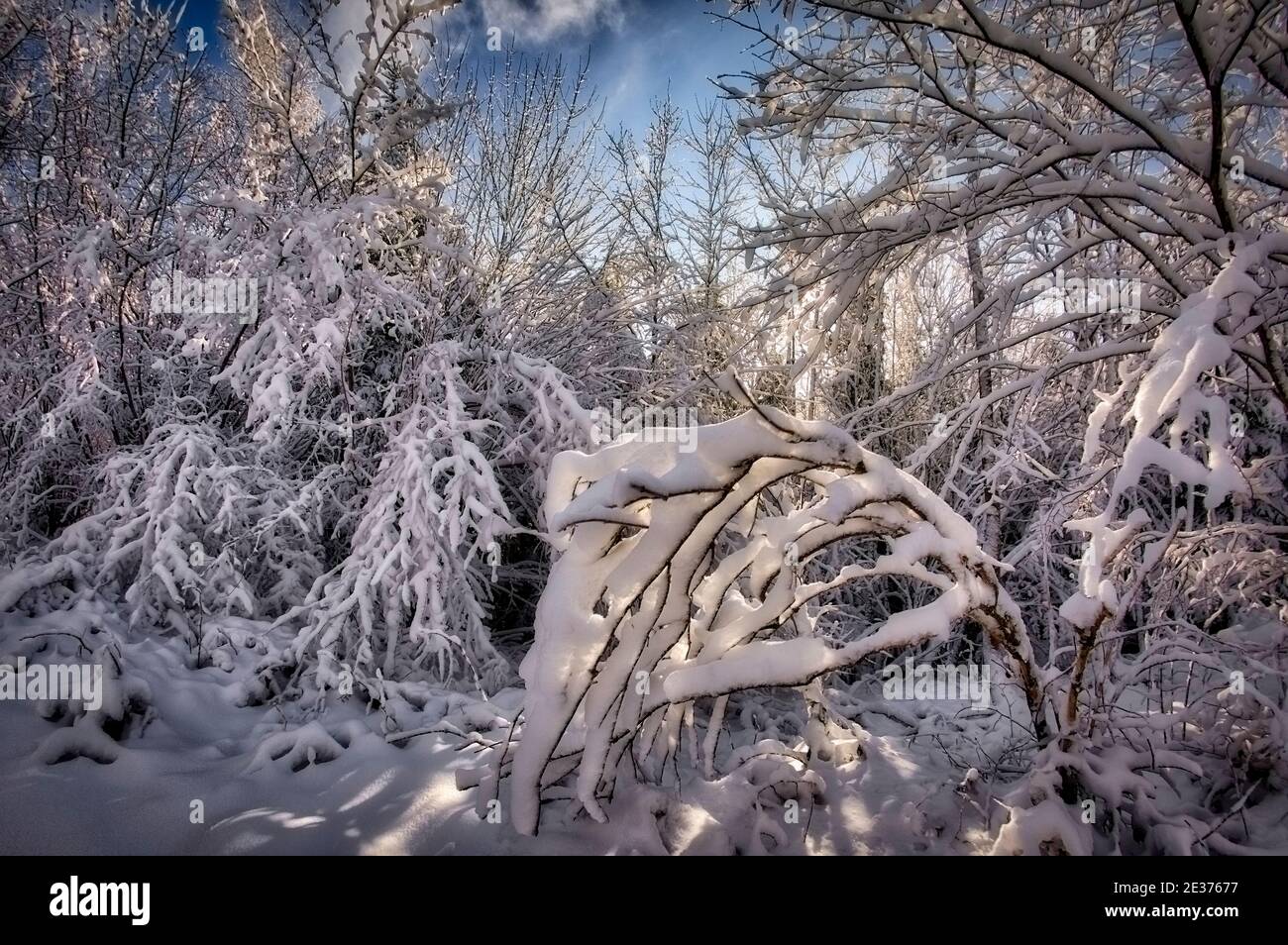DE - BAVIÈRE: Scène d'hiver à Buchberg près de Bad Toelz (HDR-image) Banque D'Images