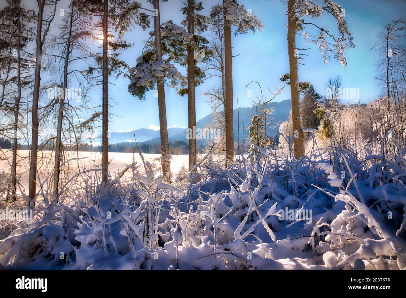 DE - BAVIÈRE: Scène d'hiver à Buchberg près de Bad Toelz (HDR-image) Banque D'Images