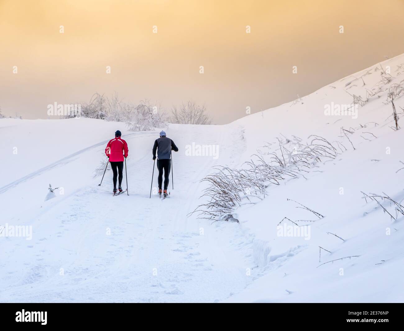 Ski de fond dans le domaine viticole de Vogtland Banque D'Images