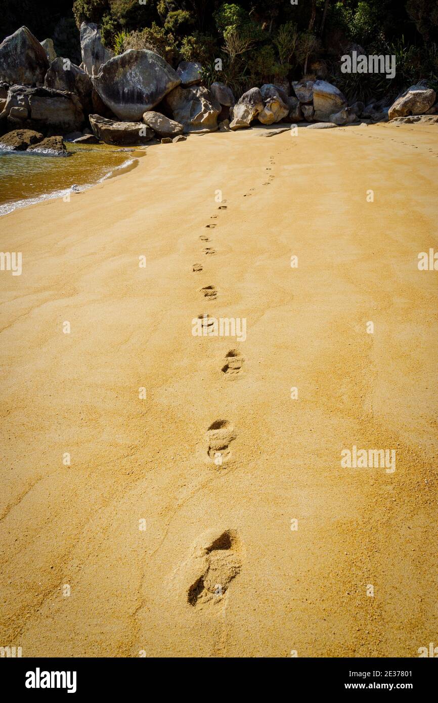 Empreintes de pas dans le sable à te Pukatea Bay, Akersten Bay. Réserve naturelle d'Abel Tasman, Île du Sud, Nouvelle-Zélande. Banque D'Images