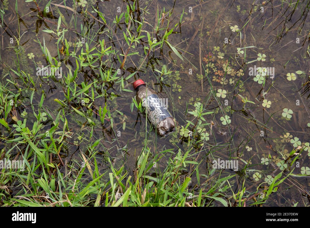 Une bouteille d'animal de compagnie utilisée flottant sur le champ agricole de Noakhali, au Bangladesh. Banque D'Images