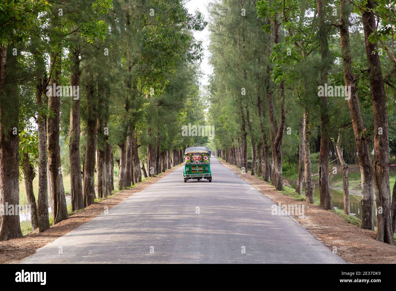 Une belle route à Noakhali, Bangladesh Banque D'Images