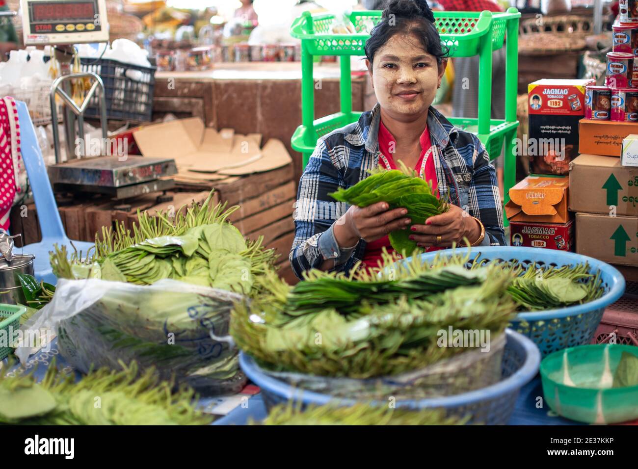 Portrait d'une femme birmane locale avec thanaka vendant le paan mastiquer le tabac avec des feuilles de vigne de bétel et de noix d'arec à Un marché près de Yangon Banque D'Images