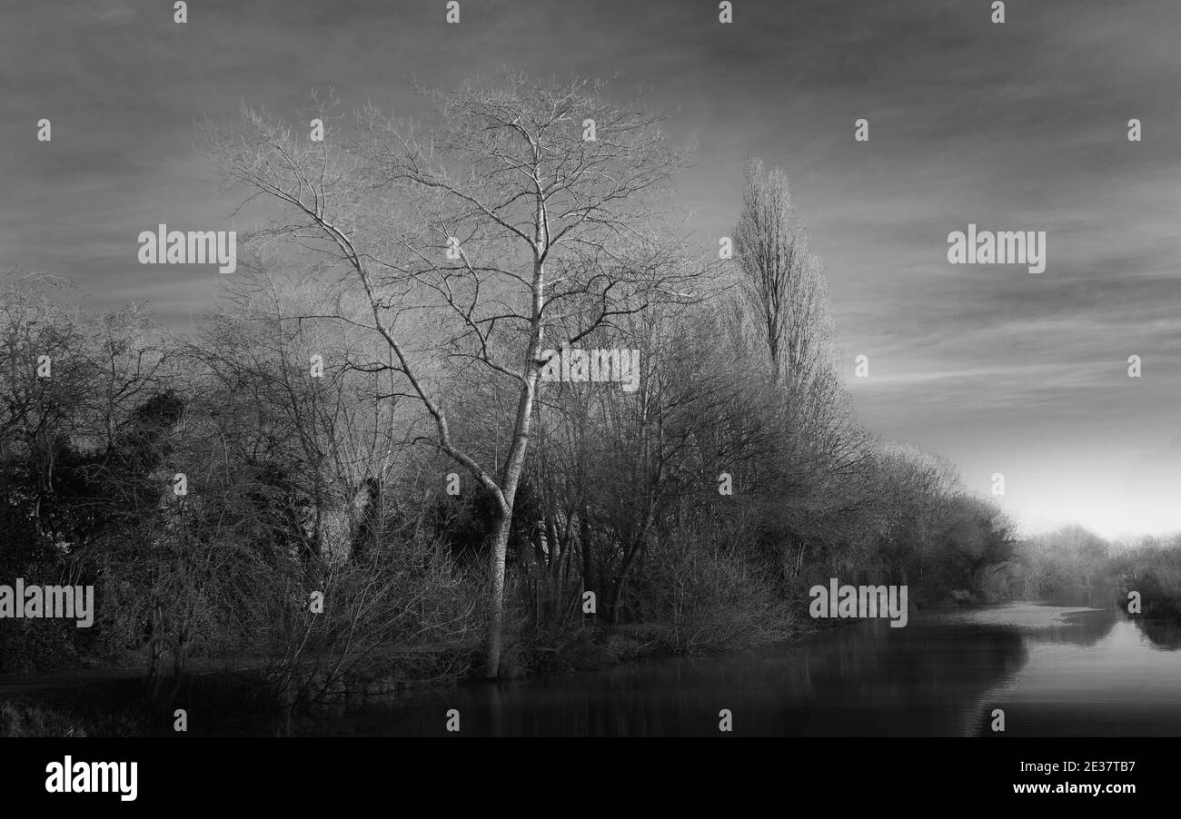 Profitez d'une vue sur le canal bordé d'arbres sans feuilles sous un ciel bleu vif, le matin d'hiver, à Beverley, dans le Yorkshire, au Royaume-Uni. Banque D'Images