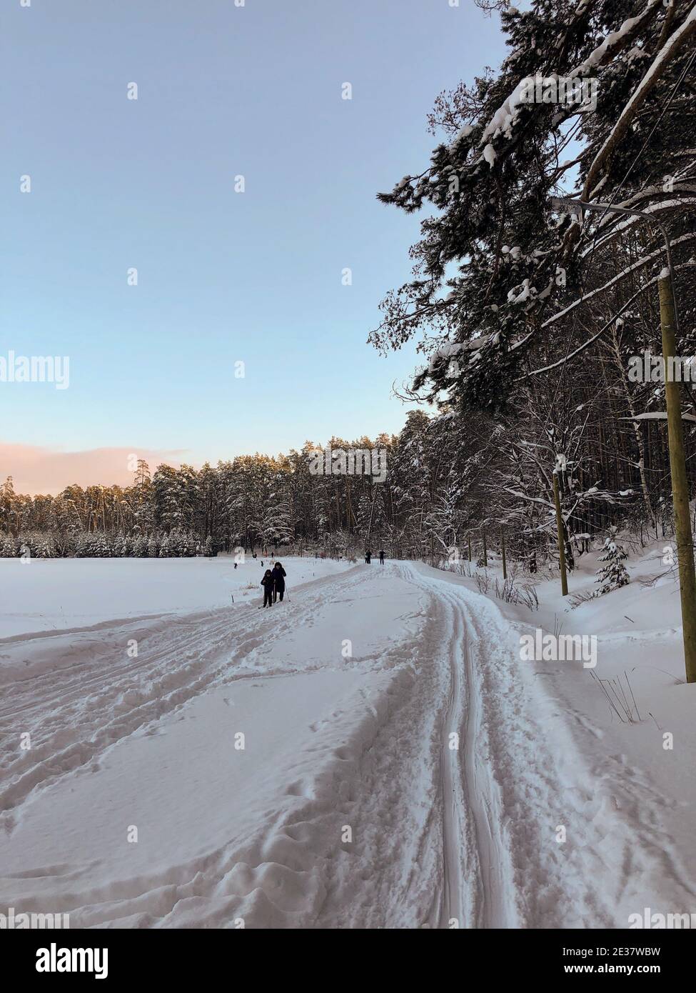 Paysage d'hiver : les skieurs longent un lac gelé par beau temps Banque D'Images