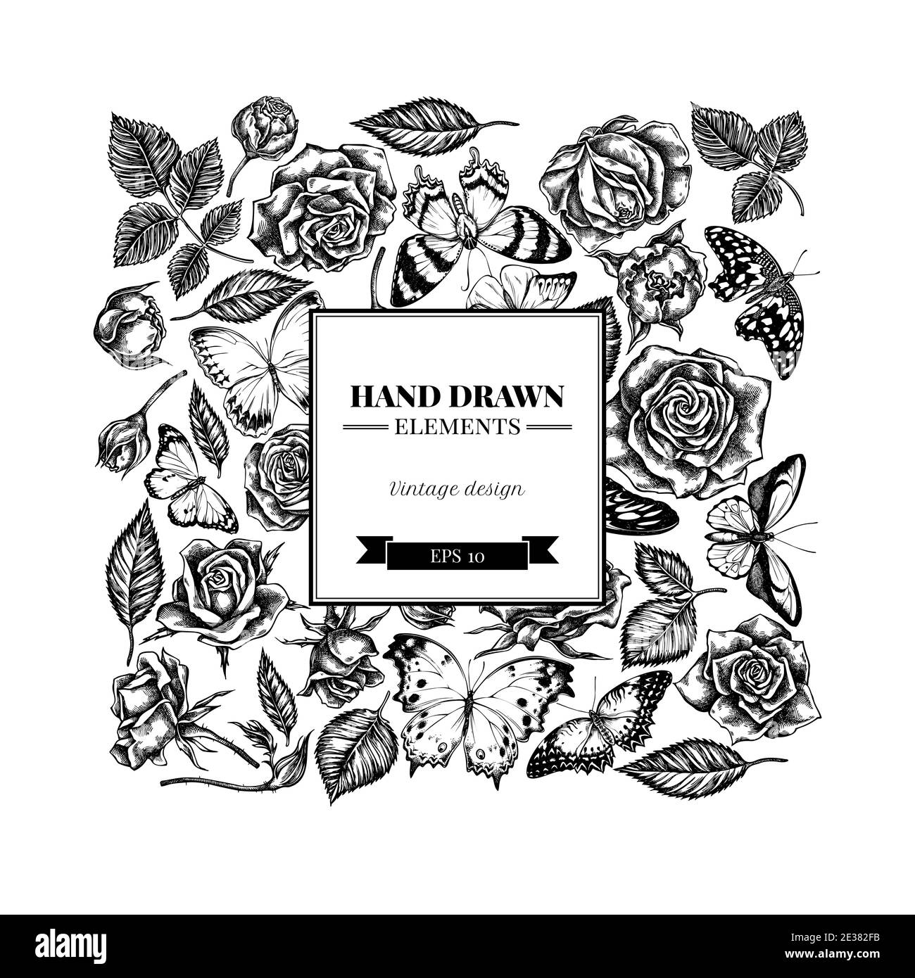 Motif floral carré avec papillon noir et blanc au citron, croquant rouge, queue d'allowtail géant africain, alcides agathyrsus, oiseau doré de wallace Illustration de Vecteur