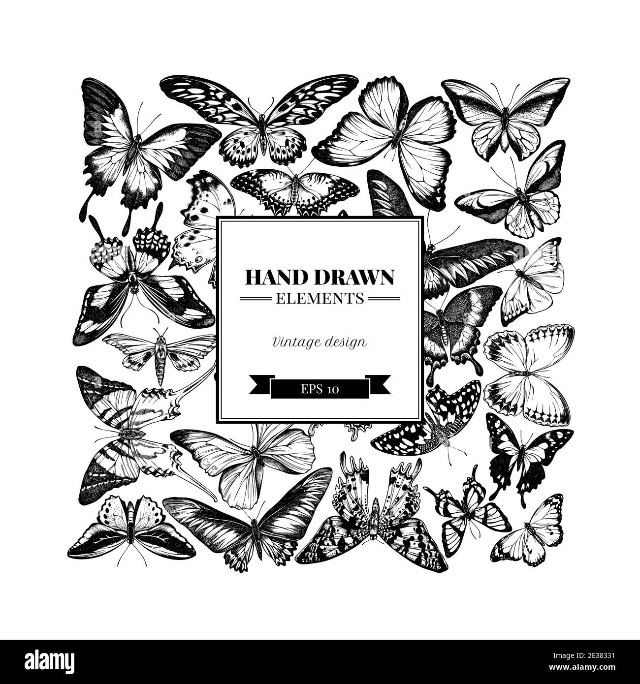 Motif carré avec grand bout orange noir et blanc, queue d'allowtail émeraude, reines de jungle, tigre Uni, aile d'oiseaux de rajah brooke, papilio torquatus Illustration de Vecteur