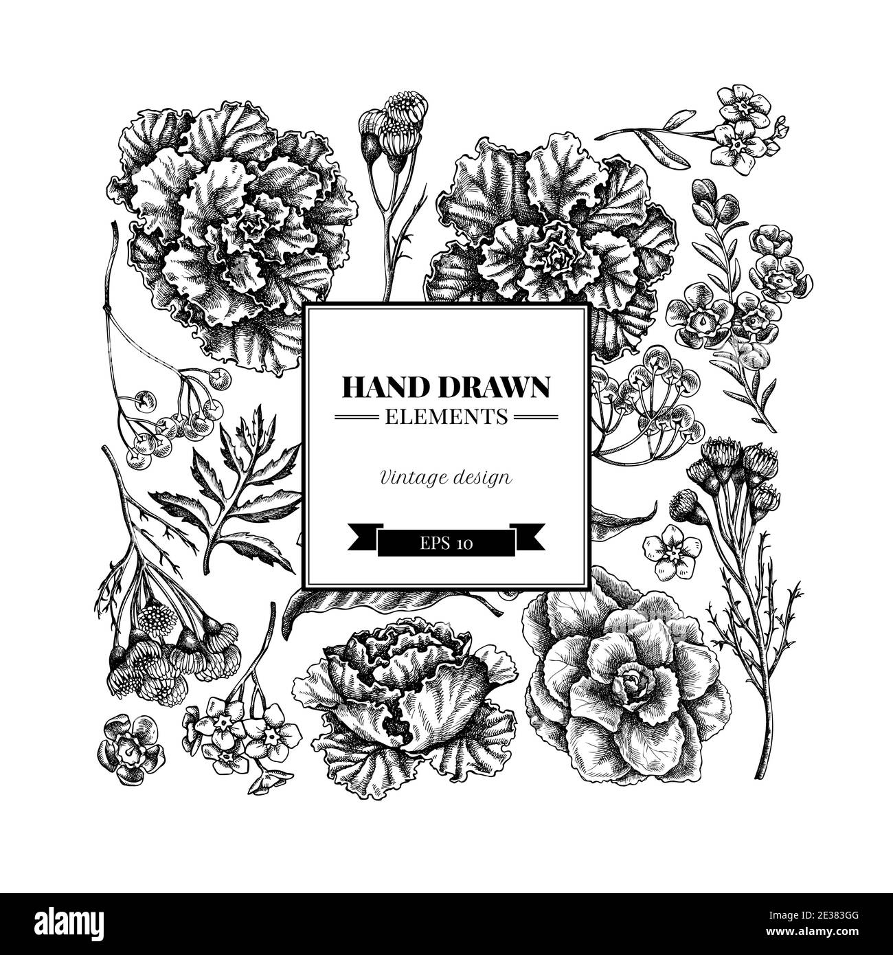 Motif floral carré avec fleur de cire noire et blanche, oubliez-moi pas fleur, tansy, ardisia, brassica, chou décoratif Illustration de Vecteur