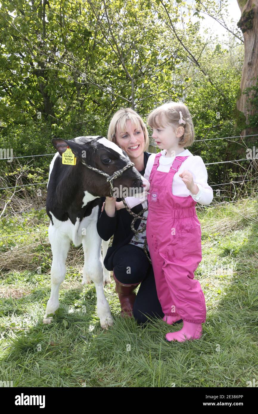 Muirkiirk, East Ayrshire, Écosse, Royaume-Uni, salon agricole du village, les agriculteurs locaux et leurs familles rencontrent et rivalisent avec le bétail, les moutons et le bétail exposés. Petite fille en salopette rose avec sa mère et son veau d'animal de compagnie Banque D'Images