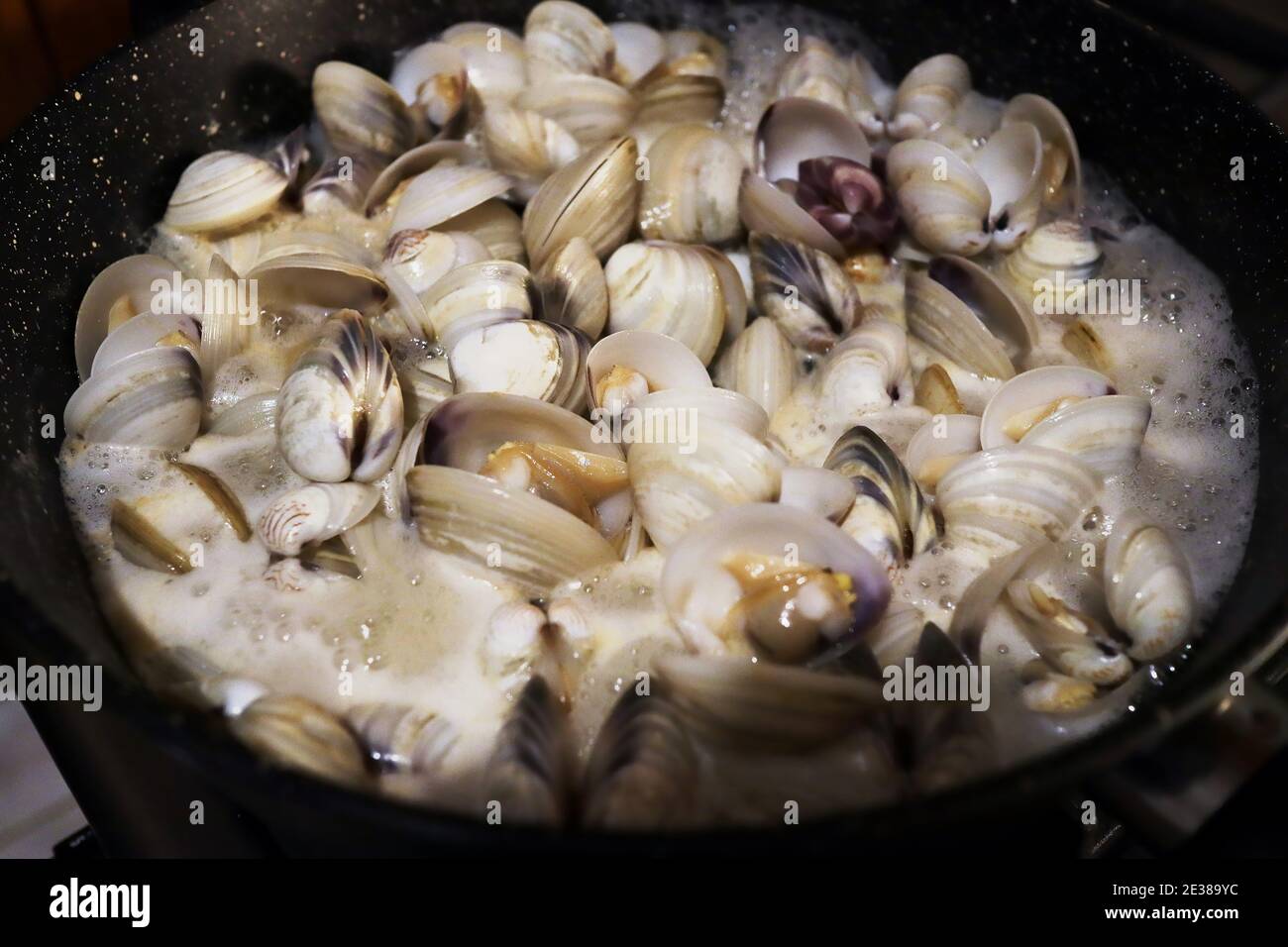 Moules blanches cuisant dans de l'eau à la vapeur Banque D'Images