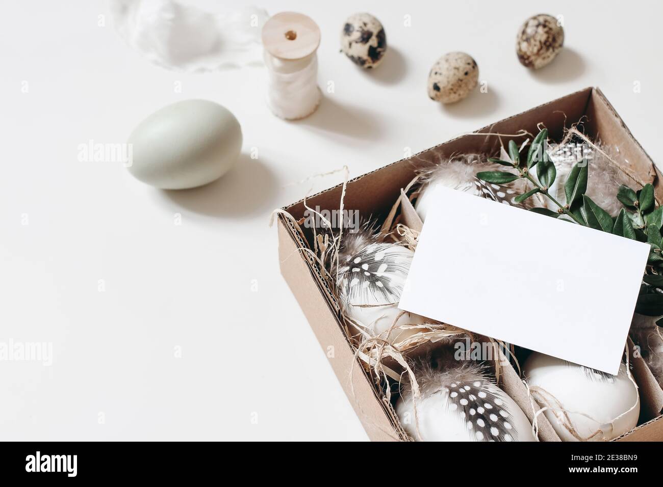 Pâques, le printemps encore la vie. Carte de vœux, maquette d'invitation sur boîte en papier avec œufs de caille et de poule, plumes et branche verte isolée sur table blanche Banque D'Images