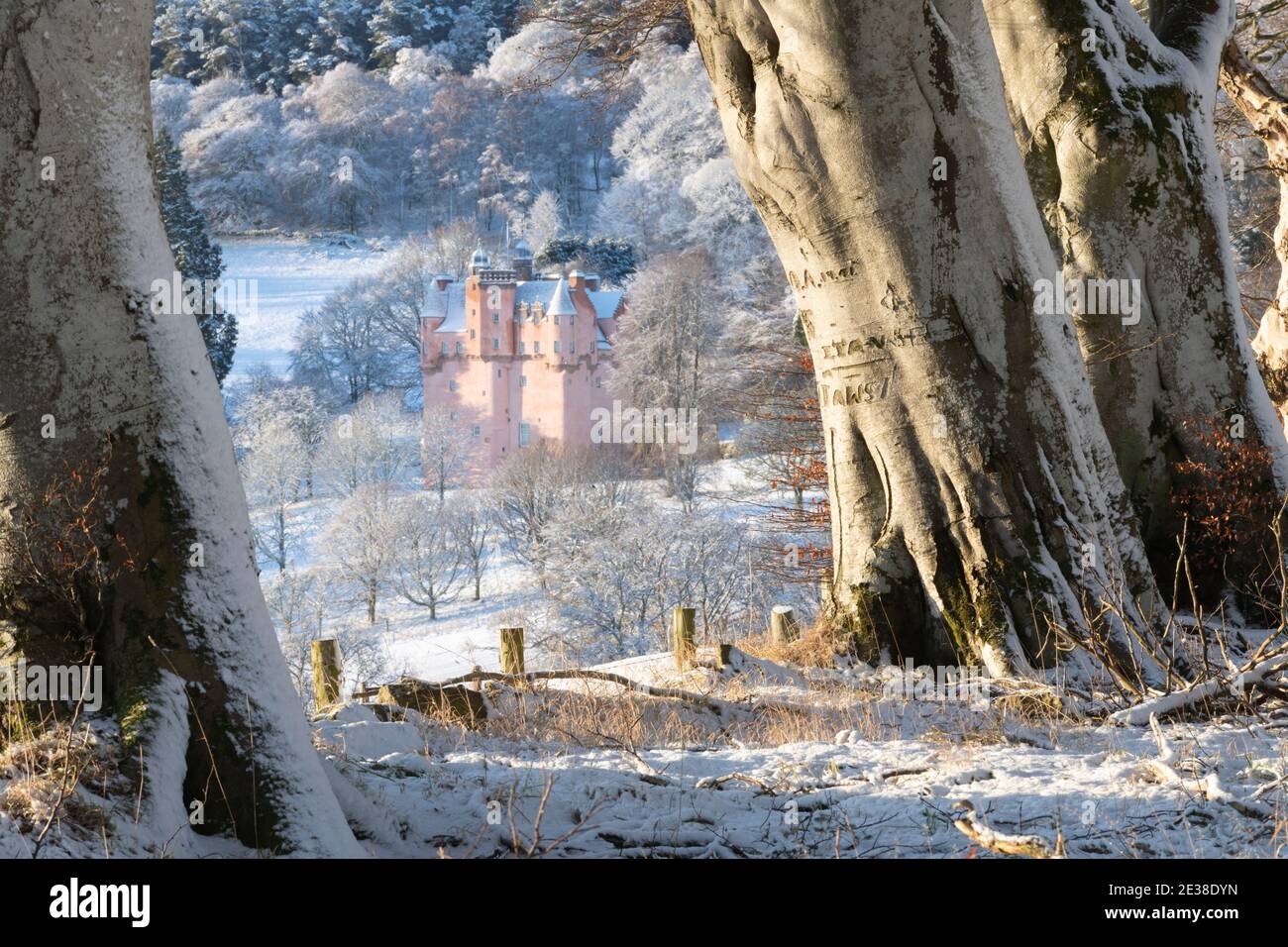 Une ligne d'arbres de Hêtre (Fagus sylvatica) En hiver avec le château Craigievar sur une colline Frosty à l'intérieur La distance Banque D'Images