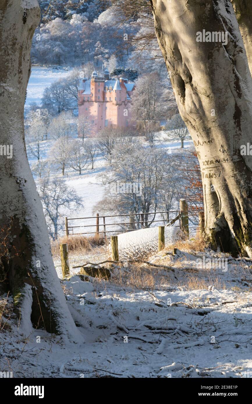 Vue d'hiver du château de Craigievar dans la neige, encadré par des arbres de Hêtre (Fagus sylvatica) Banque D'Images