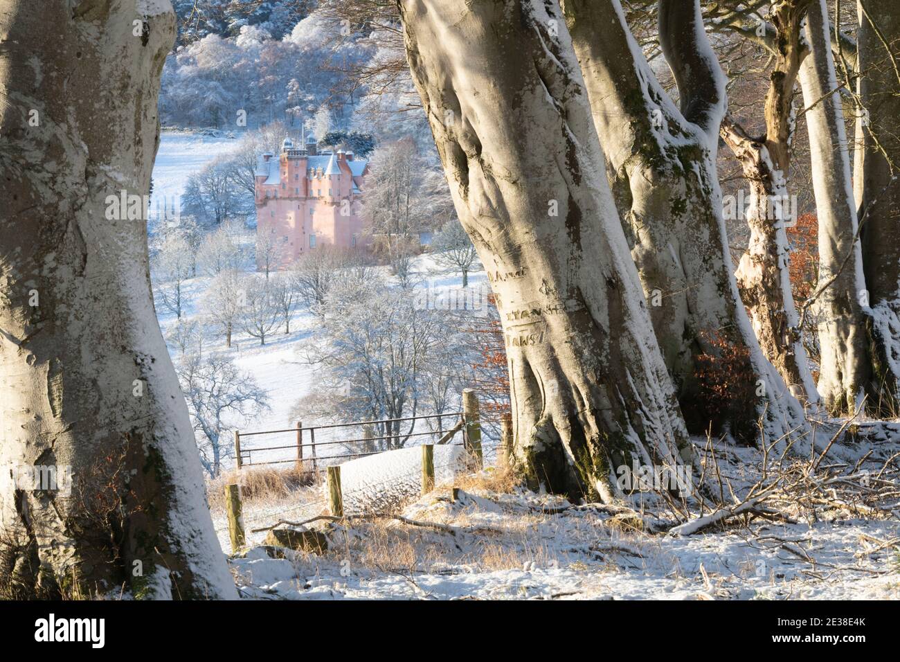 Une vue à travers une ligne d'arbres de Hêtre (Fagus sylvatica) En direction du château de Craigievar lors d'une matinée d'hiver enneigée à Aberdeenshire Banque D'Images