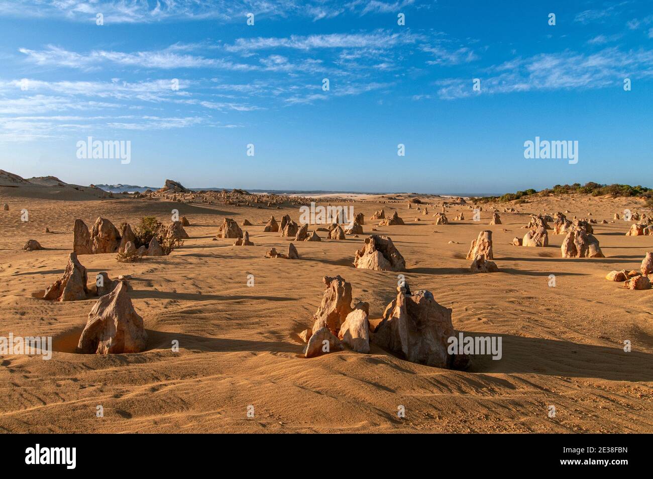 Le désert des Pinnacles d'Australie occidentale, au parc national de Nambung près de Cervantes, a été tourné sous la lumière de la fin de l'après-midi. Banque D'Images