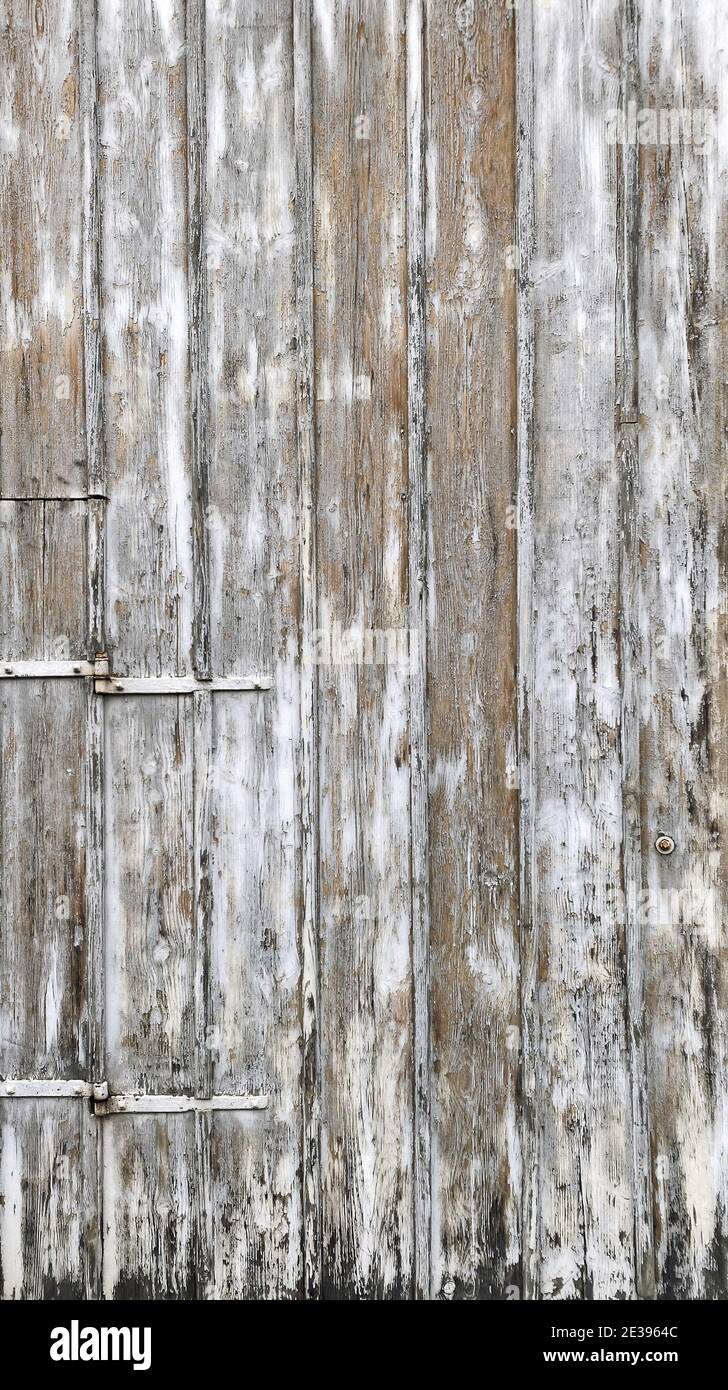 Arrière-plan en bois. Bois vieilli texture blanc gris planche Photo Stock -  Alamy