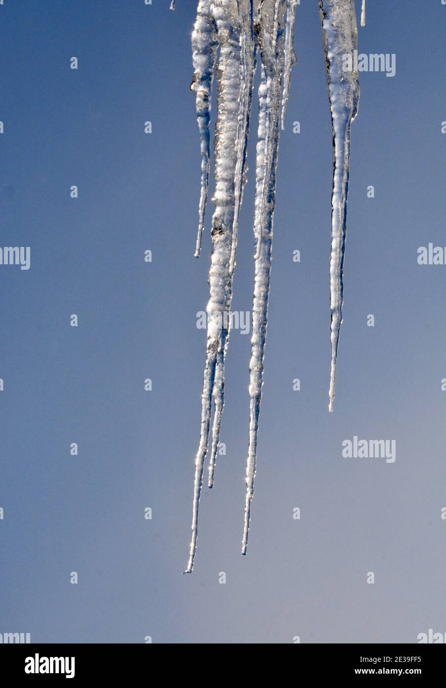 Gros plan des glaçons congelés Banque D'Images