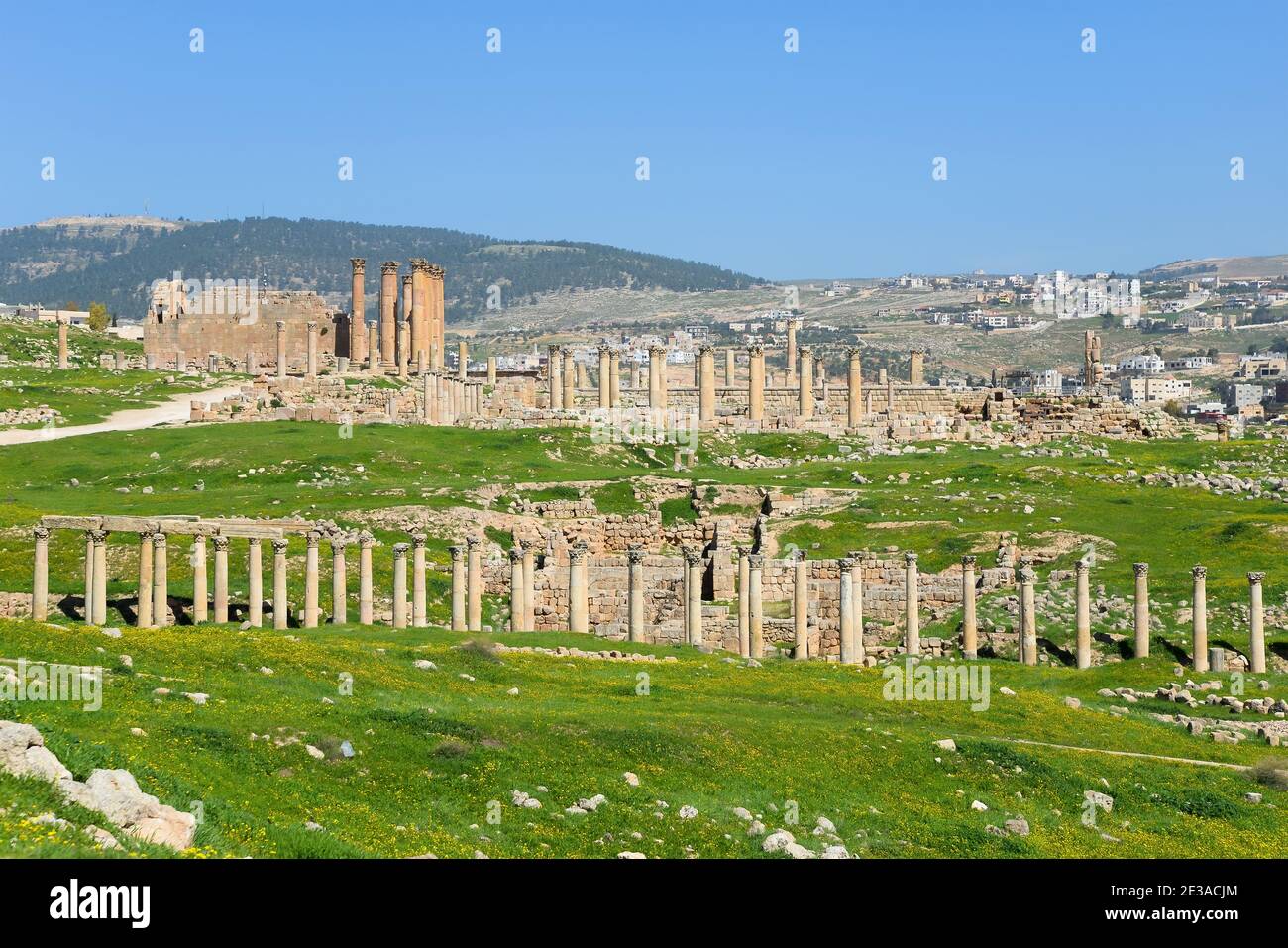 Colonnes de l'ancienne ville romaine et byzantine de Jerash en Jordanie. Plusieurs colonnes conservées sur le site touristique de la vieille ville de Gerasa. Banque D'Images