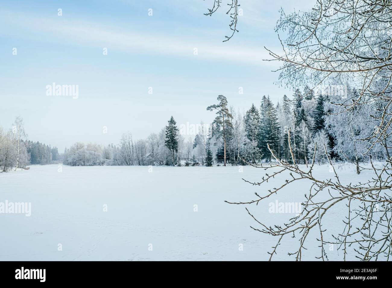 Magnifique paysage d'hiver. Arbres enneigés sur le lac. Hiver nature fond. Banque D'Images