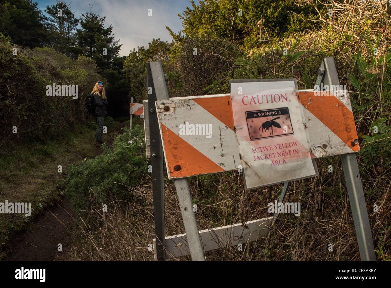 Un signe d'avertissement d'une veste jaune active niche directement à côté d'un sentier de randonnée dans le littoral national de point Reyes, en Californie. Banque D'Images
