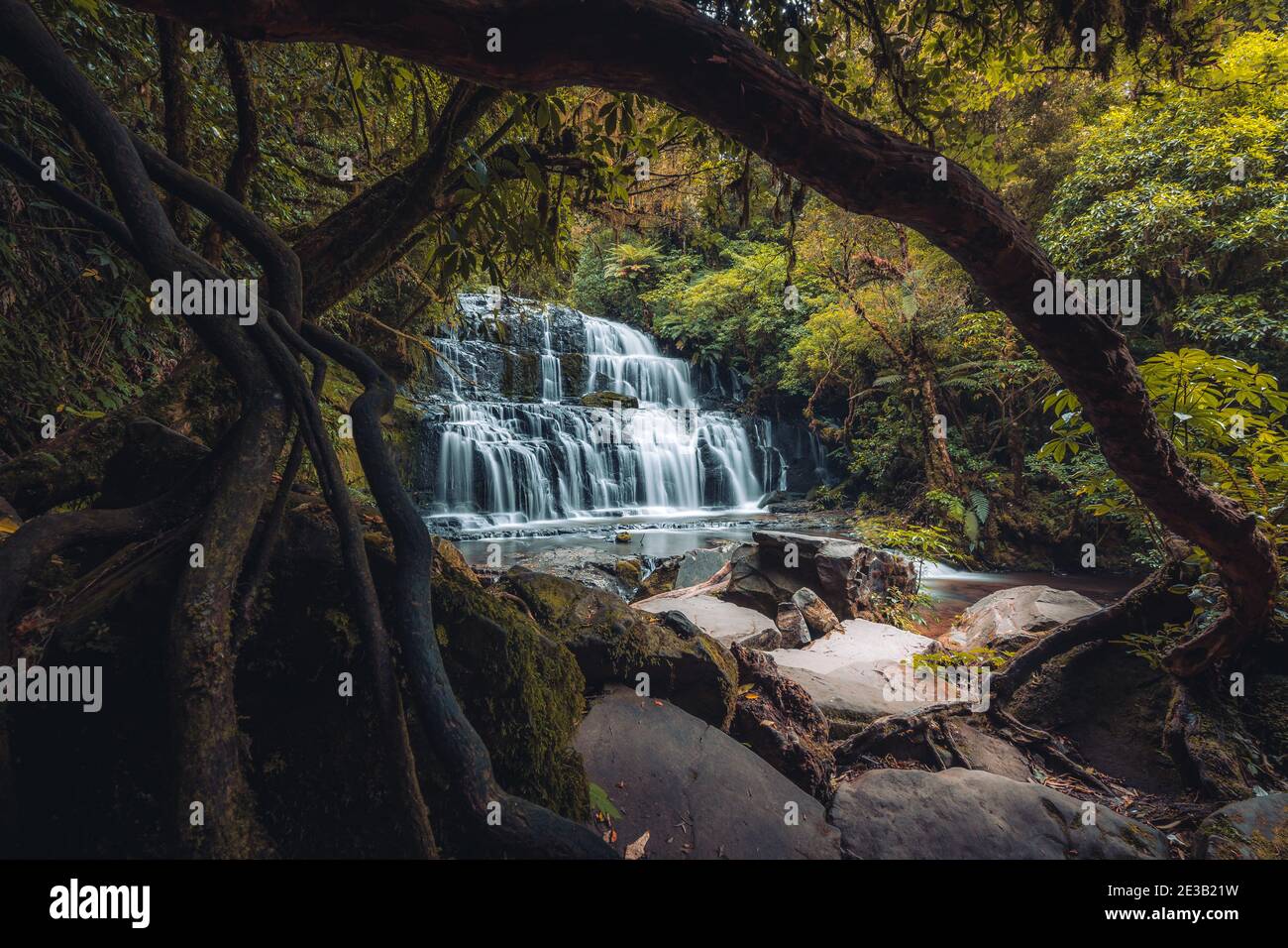Purakaunui Falls, Catlins, île du Sud, Nouvelle-Zélande Banque D'Images